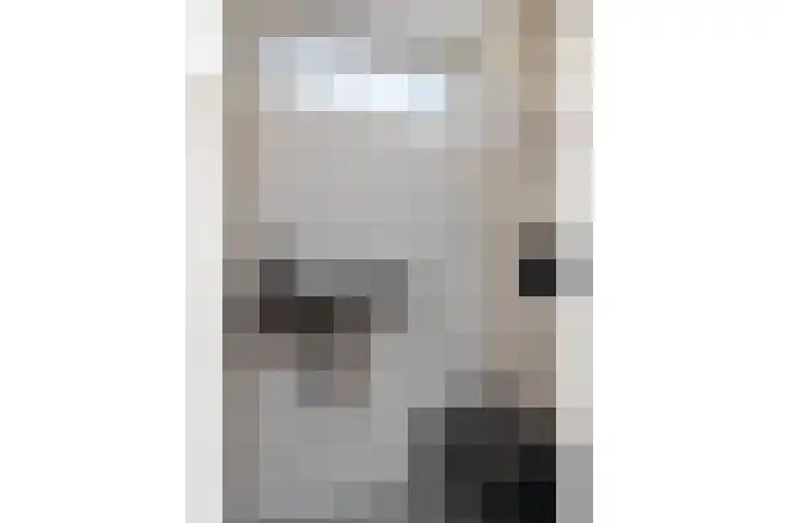 Mergelakker 58 Elsloo thumbnail 11