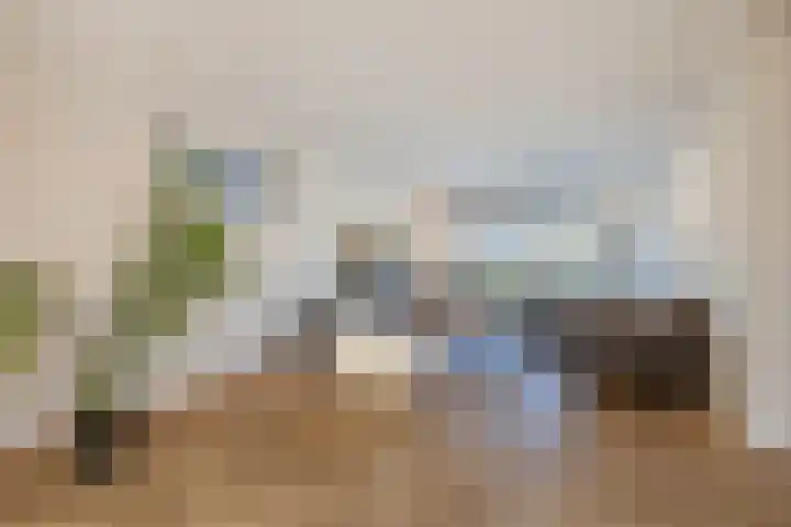Mergelakker 58 Elsloo thumbnail 15