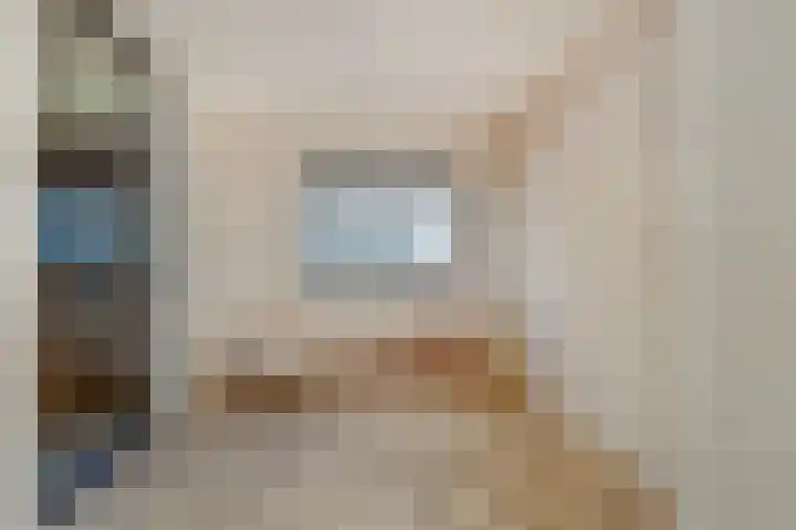 Mergelakker 58 Elsloo thumbnail 17