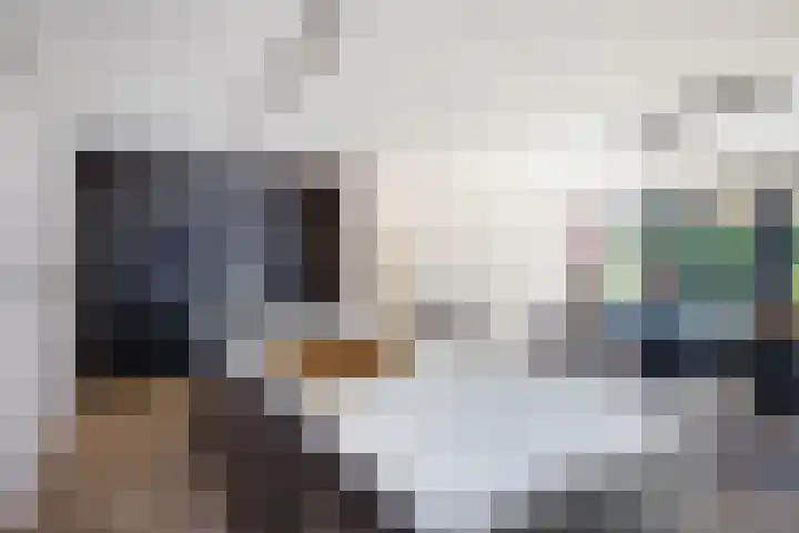 Mergelakker 58 Elsloo thumbnail 22
