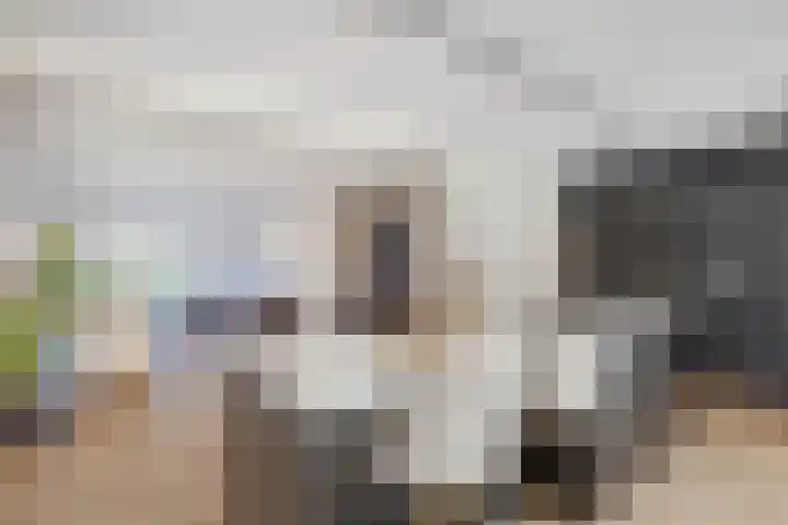 Mergelakker 58 Elsloo thumbnail 25