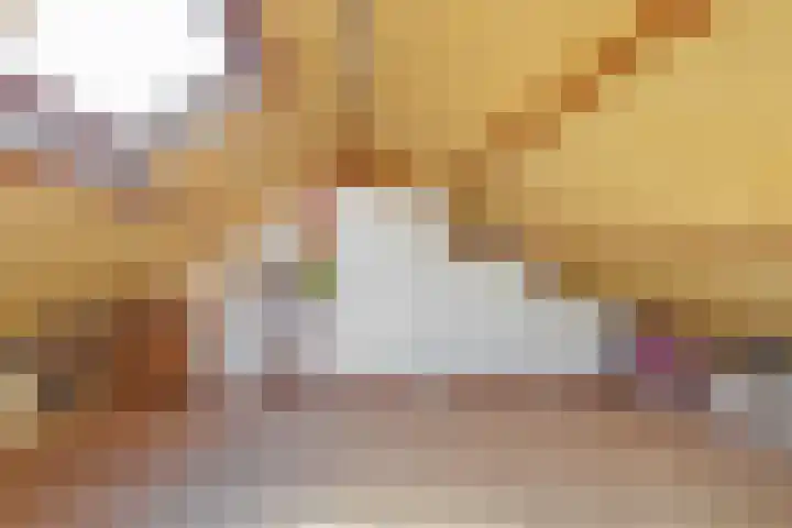 Mergelakker 58 Elsloo thumbnail 36