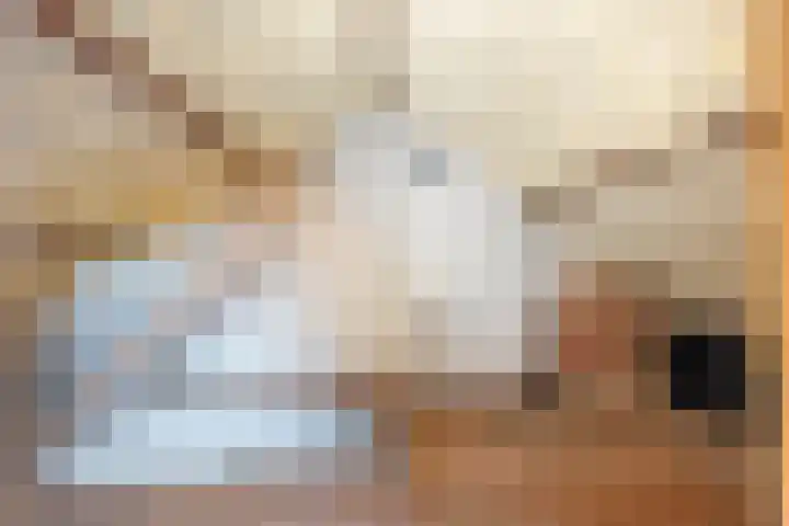 Mergelakker 58 Elsloo thumbnail 37