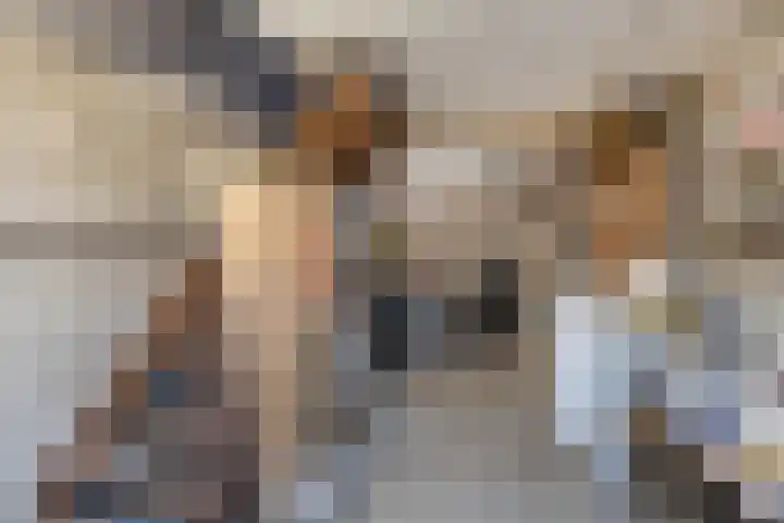 Mergelakker 58 Elsloo thumbnail 38