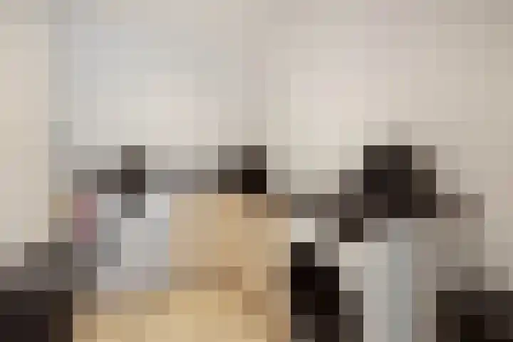 Mergelakker 58 Elsloo thumbnail 42