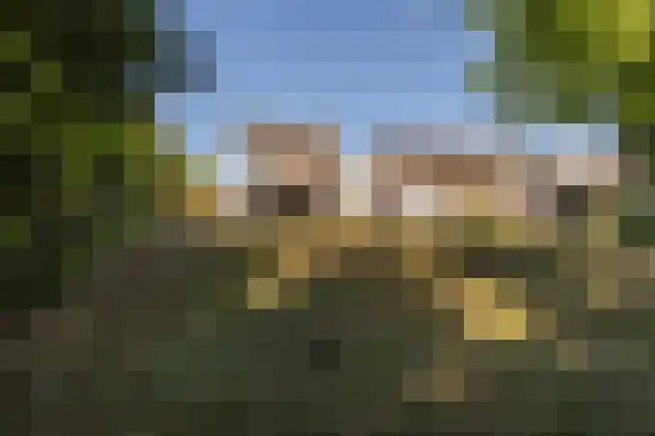 Mergelakker 58 Elsloo thumbnail 44