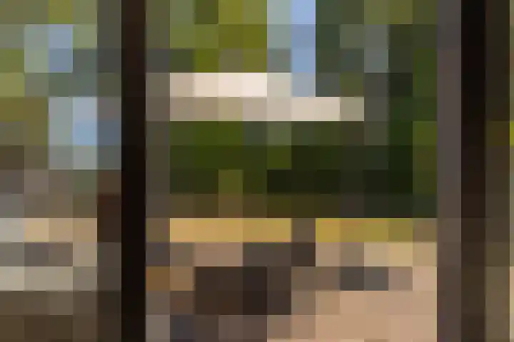 Mergelakker 58 Elsloo thumbnail 45