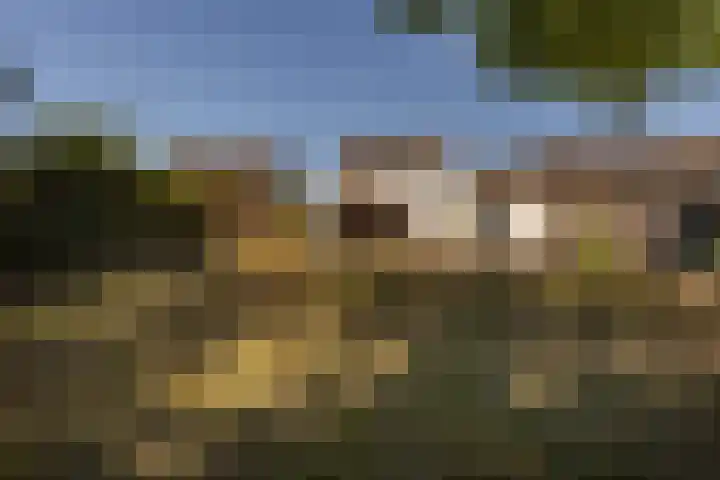 Mergelakker 58 Elsloo thumbnail 48