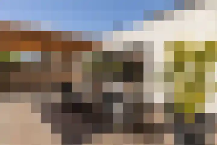 Mergelakker 58 Elsloo thumbnail 50