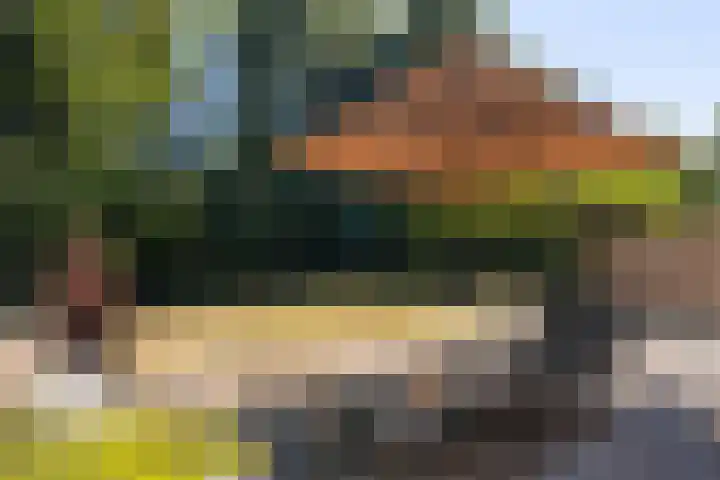 Mergelakker 58 Elsloo thumbnail 51
