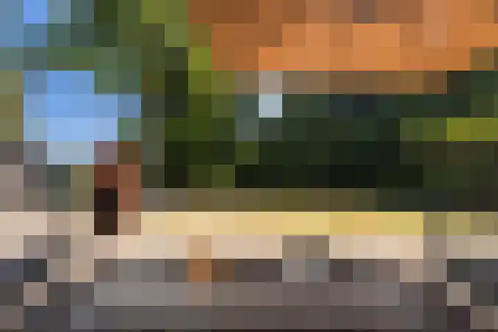 Mergelakker 58 Elsloo thumbnail 52