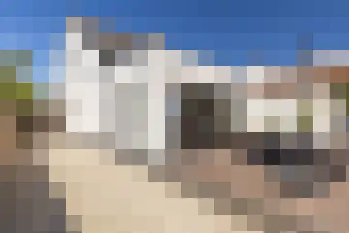 Mergelakker 58 Elsloo thumbnail 53
