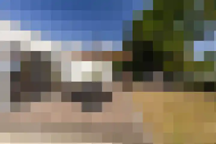 Mergelakker 58 Elsloo thumbnail 54