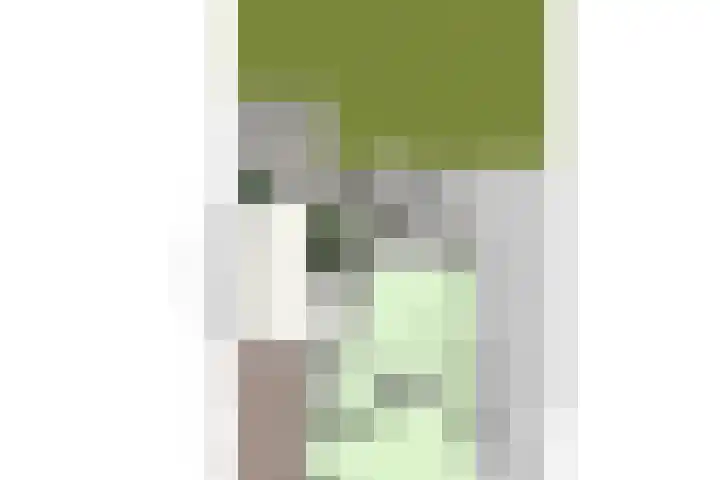 Mergelakker 58 Elsloo thumbnail 57