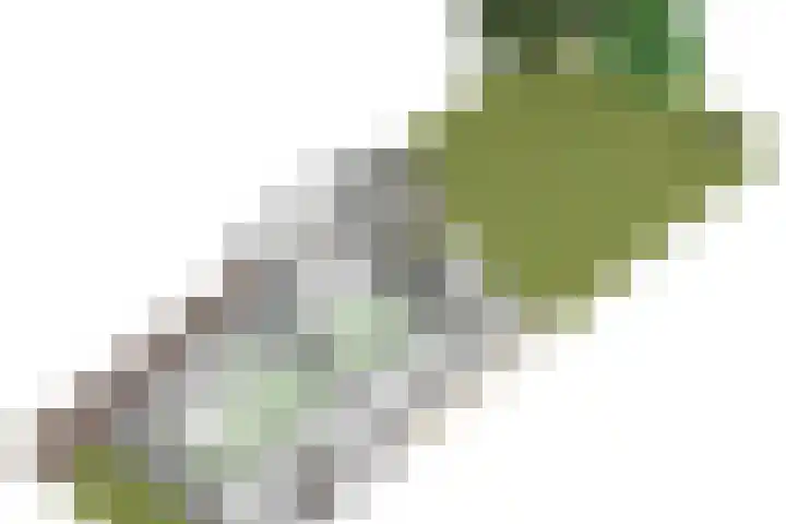 Mergelakker 58 Elsloo thumbnail 58