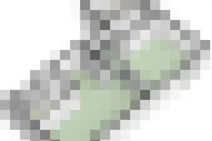 Mergelakker 58 Elsloo thumbnail 60