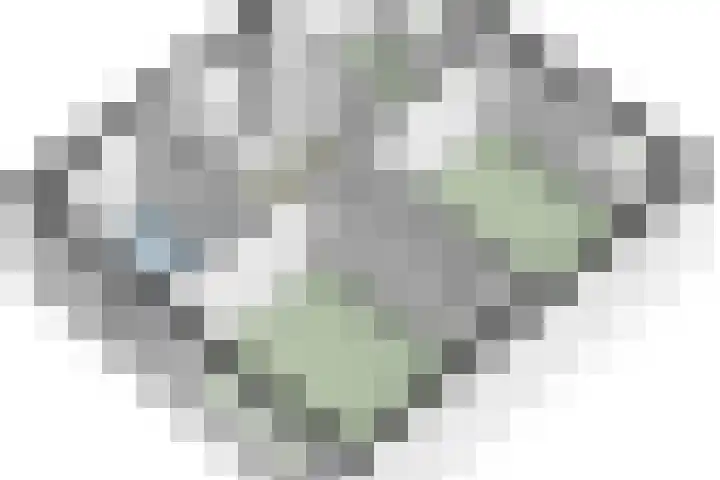 Mergelakker 58 Elsloo thumbnail 62