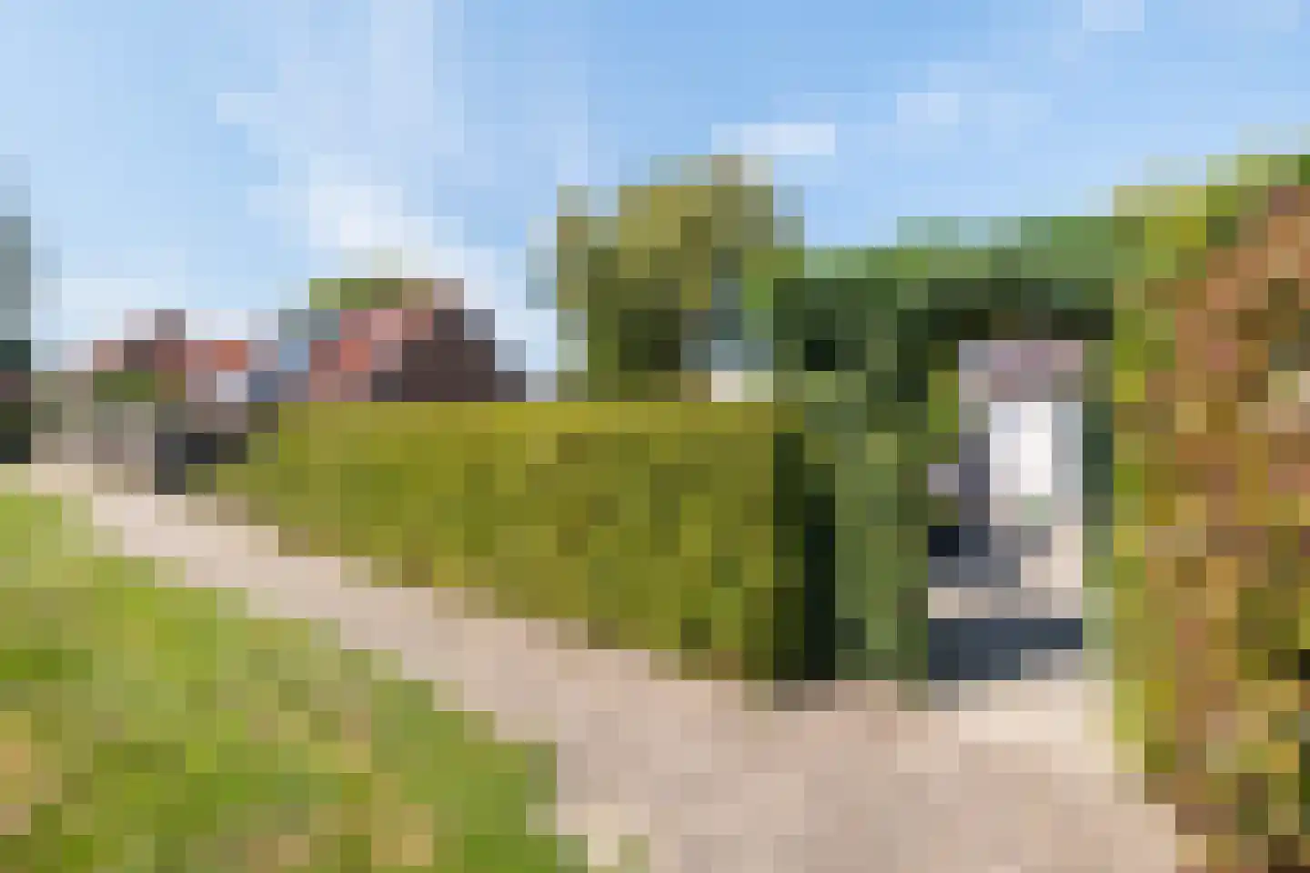 Mergelland 19 D Dronten thumbnail 22