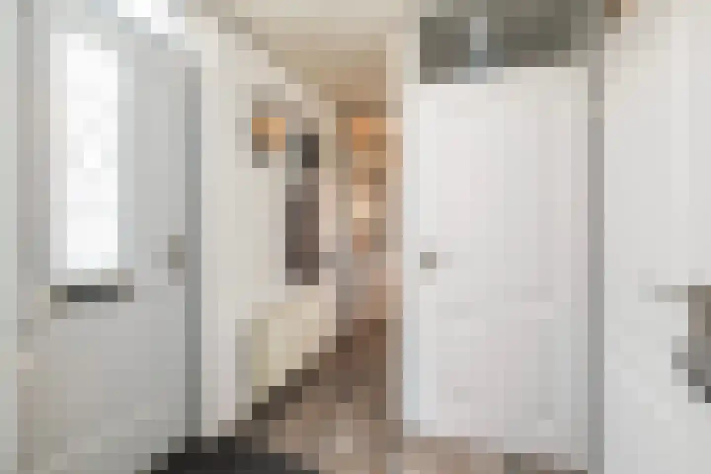 Mergelland 19 D Dronten thumbnail 4