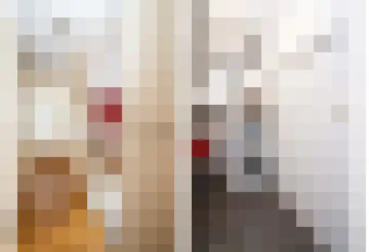 Mergelland 3 Apeldoorn thumbnail 14