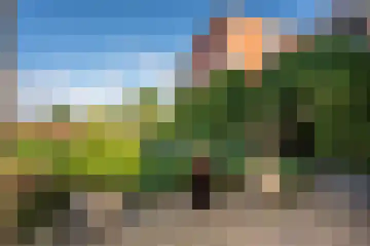 Mergelland 3 Apeldoorn thumbnail 18