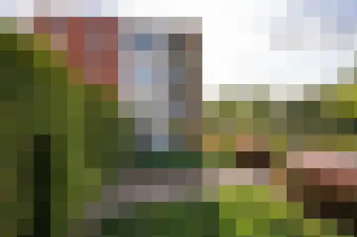 Mergelland 3 Apeldoorn thumbnail 22