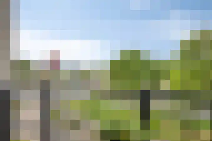 Mergelland 31 Apeldoorn thumbnail 13