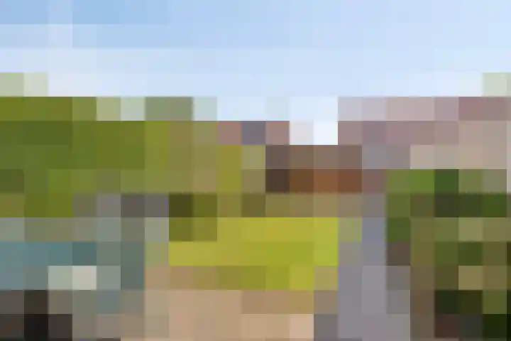 Mergelland 48 Apeldoorn thumbnail 25