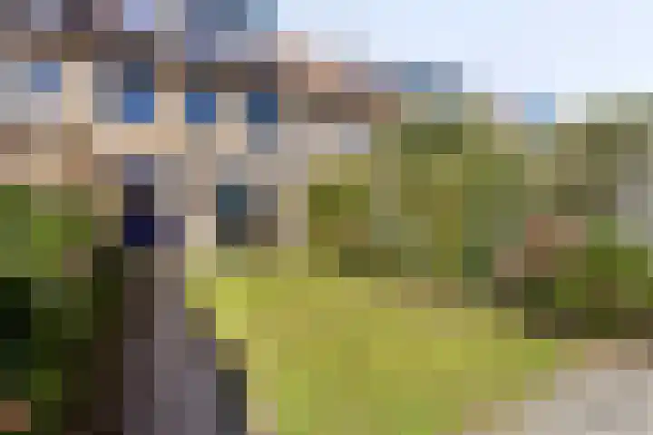 Mergelland 48 Apeldoorn thumbnail 27