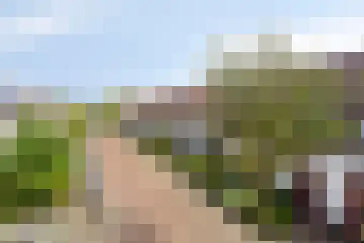 Mergelland 48 Apeldoorn thumbnail 33