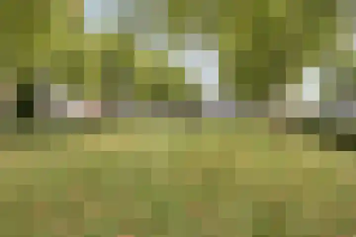 Mergelland 48 Apeldoorn thumbnail 35