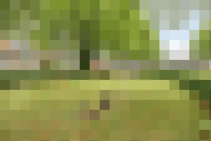 Mergelland 48 Apeldoorn thumbnail 36