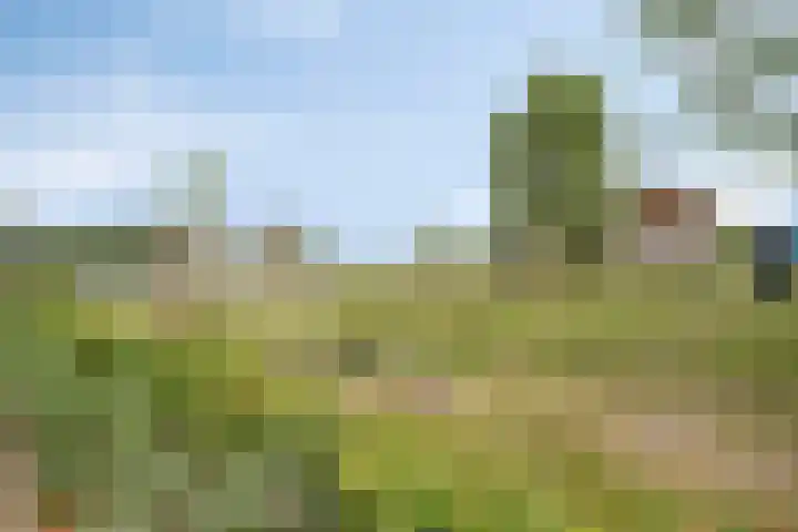 Mergelland 48 Apeldoorn thumbnail 37