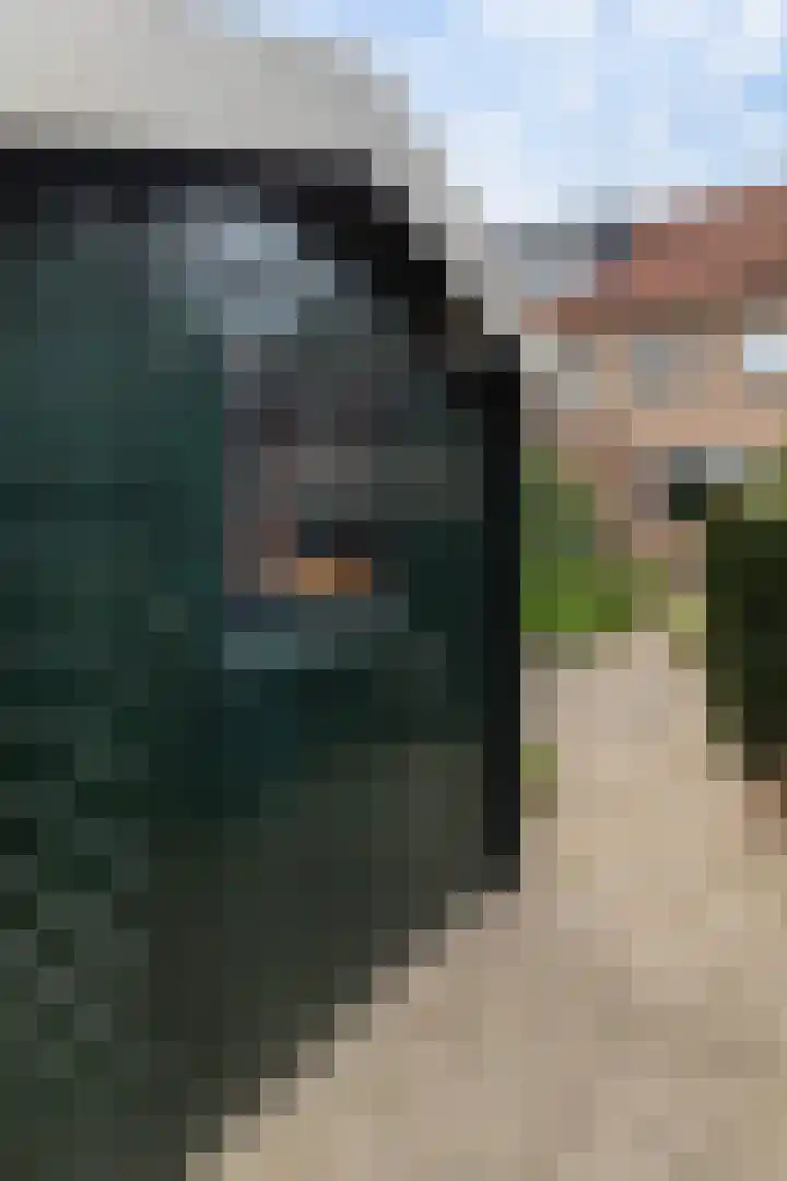 Mergelland 54 Apeldoorn thumbnail 24