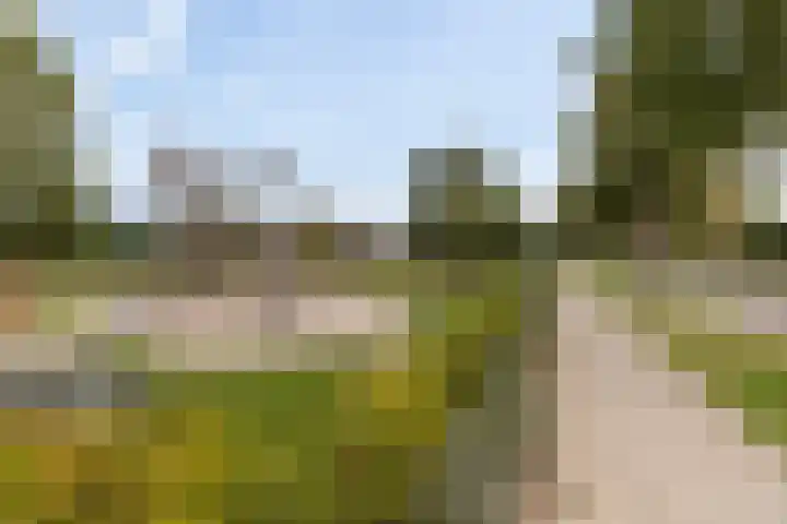 Mergelland 54 Apeldoorn thumbnail 27