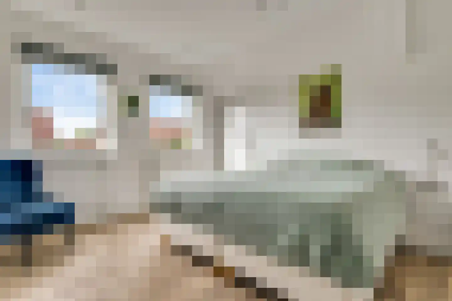 Mergelland 9 Dronten thumbnail 28
