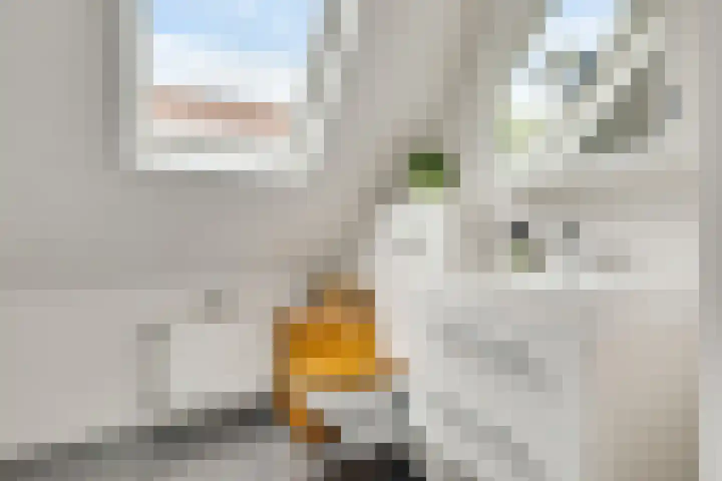 Mergelland 9 Dronten thumbnail 30
