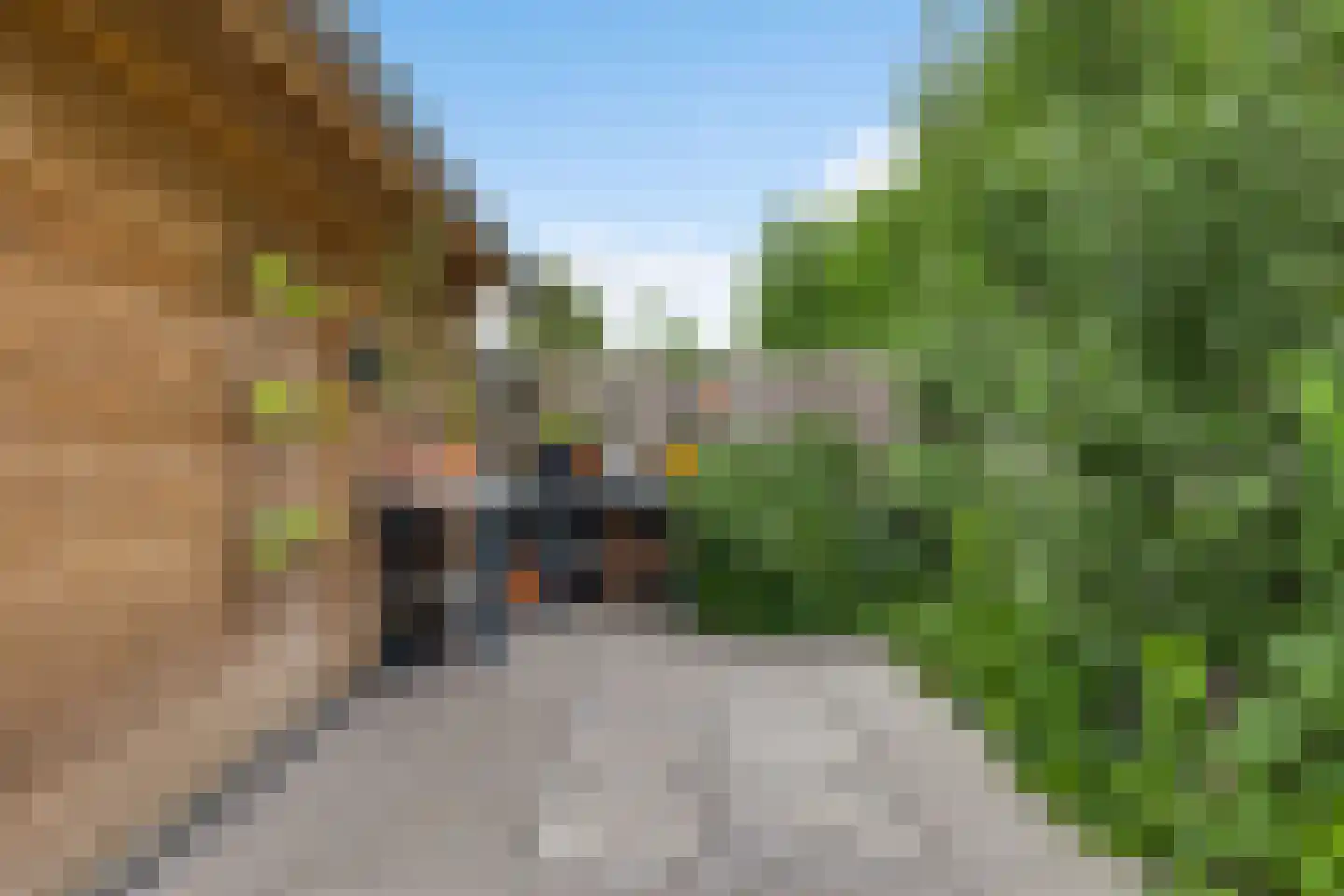 Mergelland 9 Dronten thumbnail 39