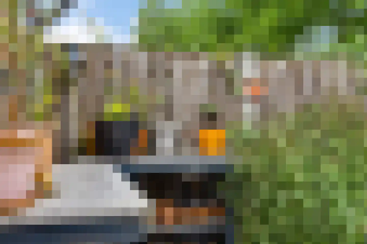 Mergelland 9 Dronten thumbnail 40