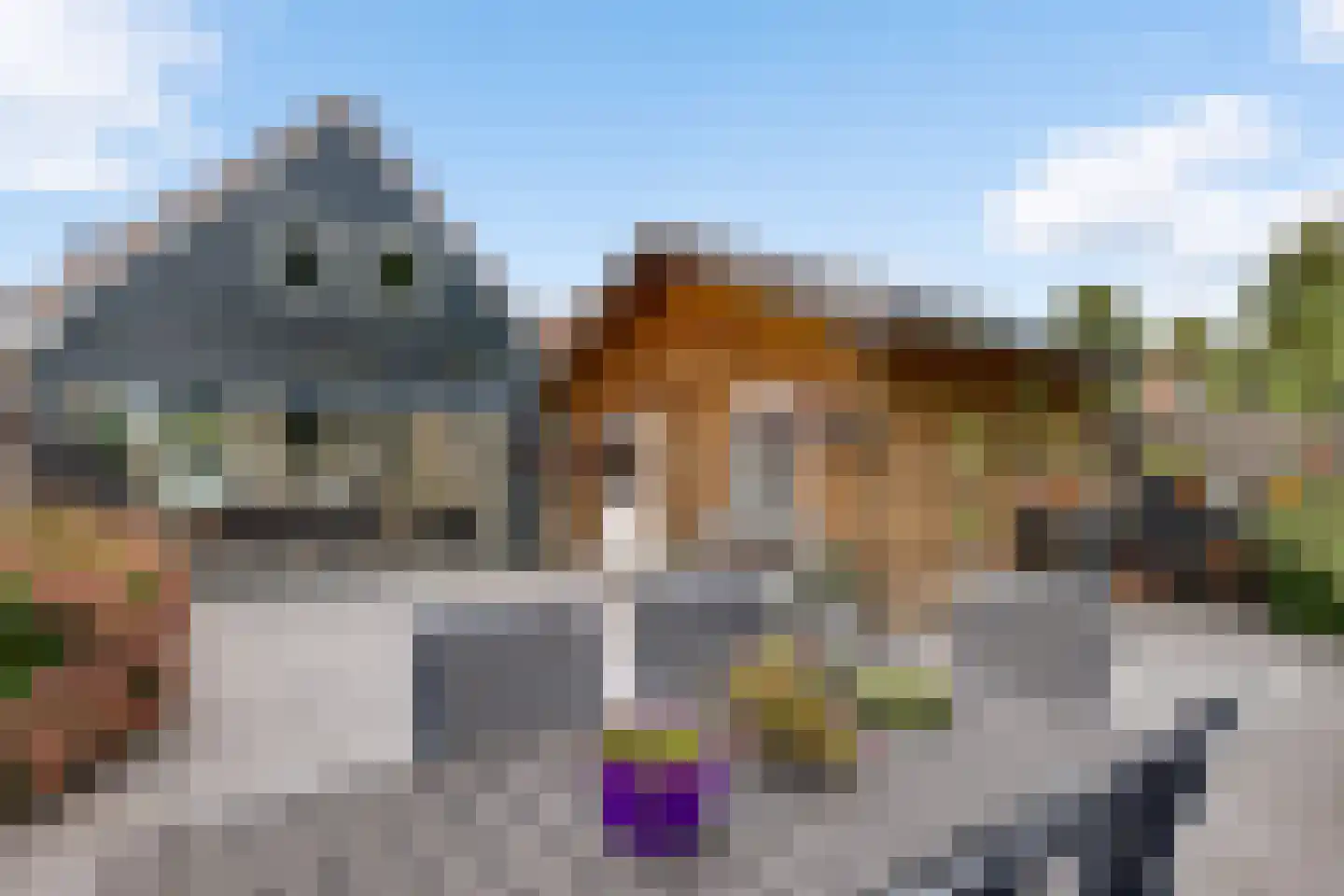 Mergelland 9 Dronten thumbnail 42