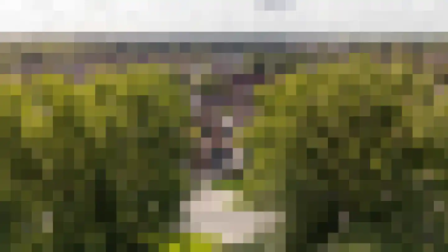 Mergelland 9 Dronten thumbnail 51