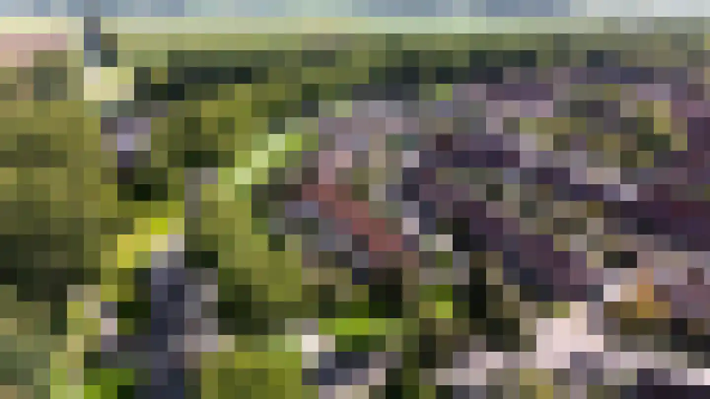 Mergelland 9 Dronten thumbnail 52
