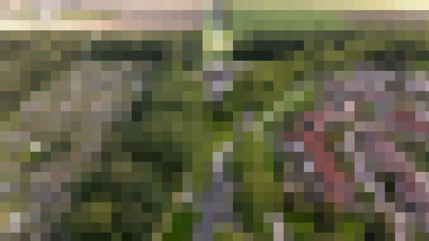 Mergelland 9 Dronten thumbnail 53