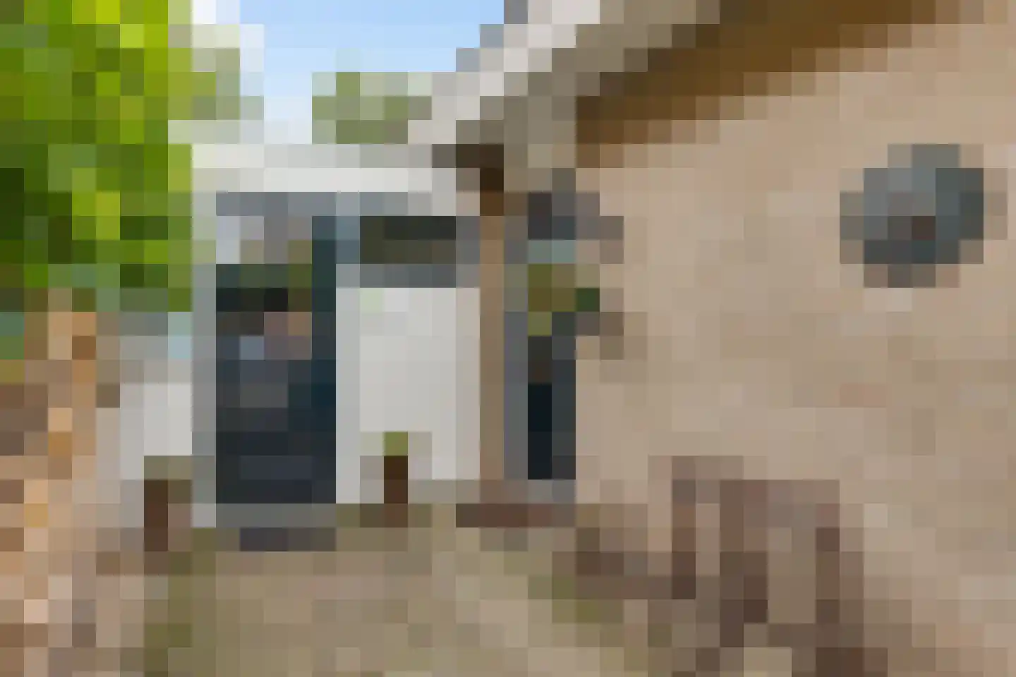 Mergelland 9 Dronten thumbnail 7