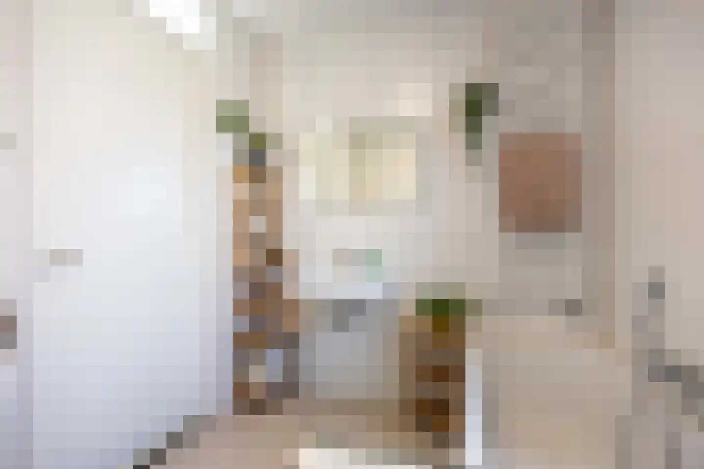 Mergelstraat 12 Groningen thumbnail 28