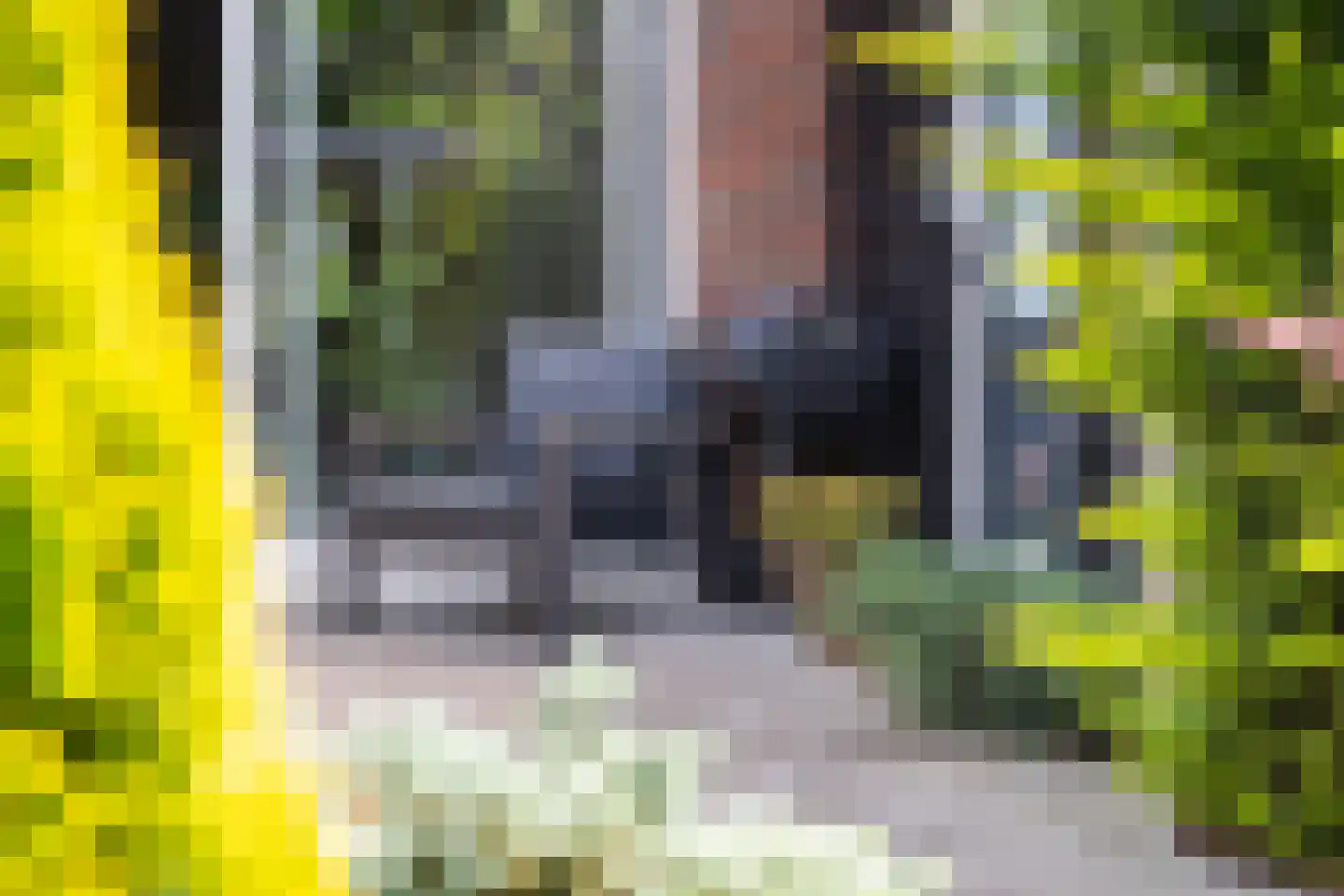 Mergelstraat 19 't Harde thumbnail 32
