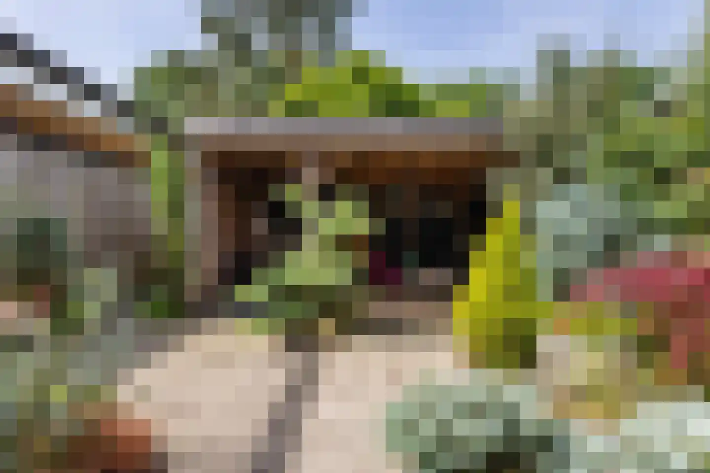 Mergelstraat 19 't Harde thumbnail 33