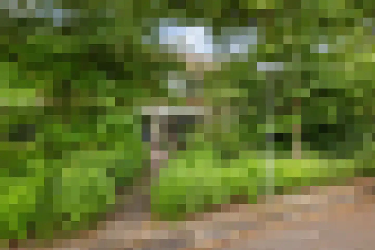 Mergelstraat 19 't Harde thumbnail 37