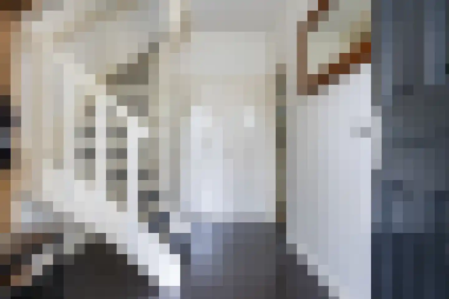Mergelstraat 19 't Harde thumbnail 6