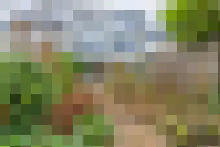 Mergelsweg 10 Heerlen thumbnail 21